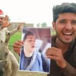 Merry christmas video with a donkey