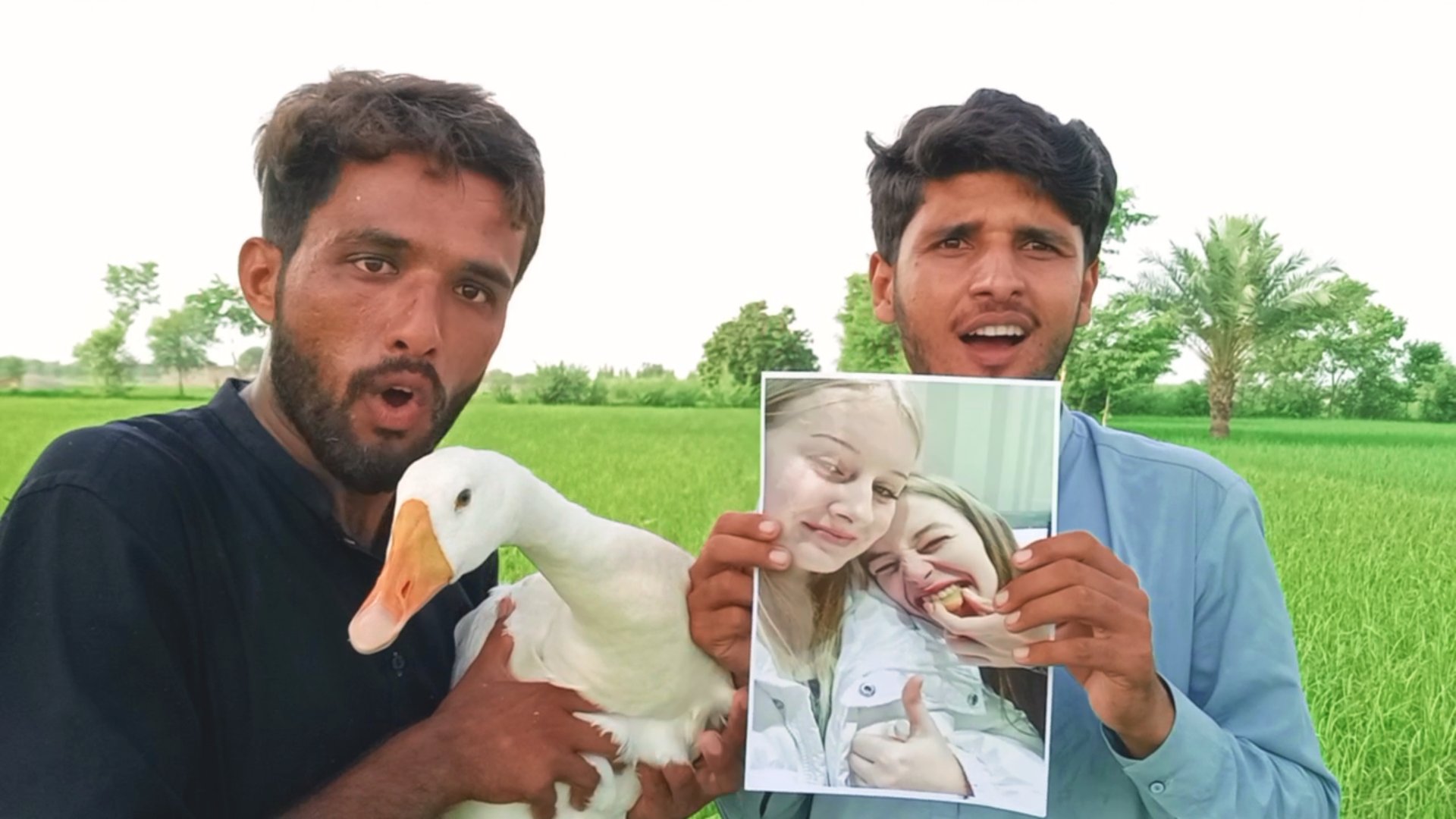 Funny Happy Birthday Wish Video: Duck Edition