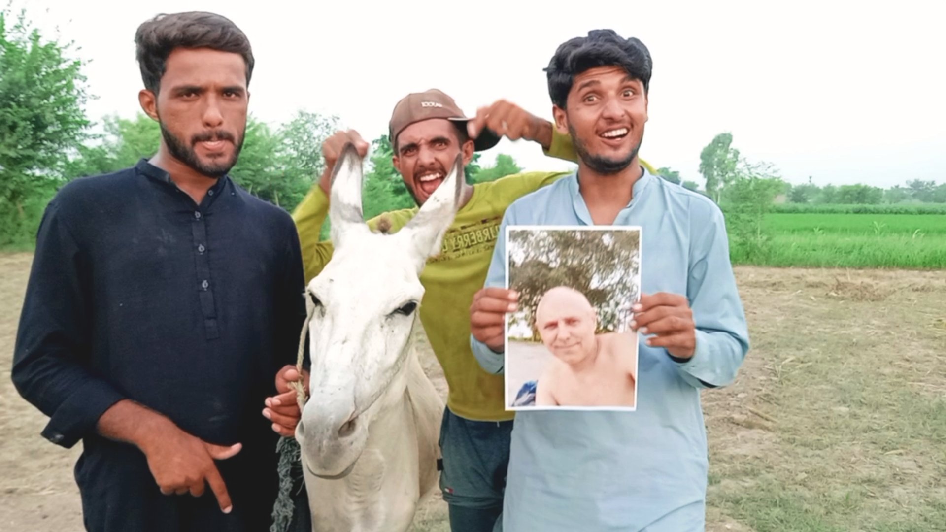 Funny Happy Birthday Wish Video: Donkey Edition